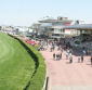 L'hippodrome de Villeurbanne